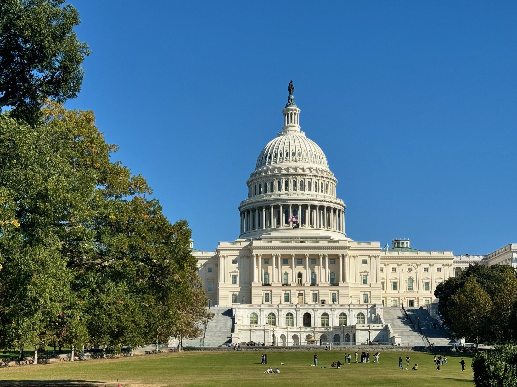 584F71C3-5E13-460F-A8A0-BD31E2BB16F8 2